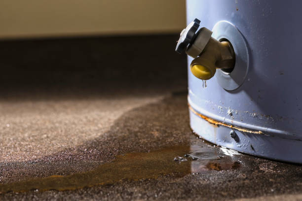 Best Water damage contractors near me  in Bessemer City, NC