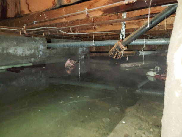 Best Emergency water damage restoration  in Bessemer City, NC