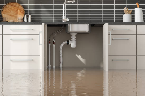 Best Basement water damage restoration  in Bessemer City, NC