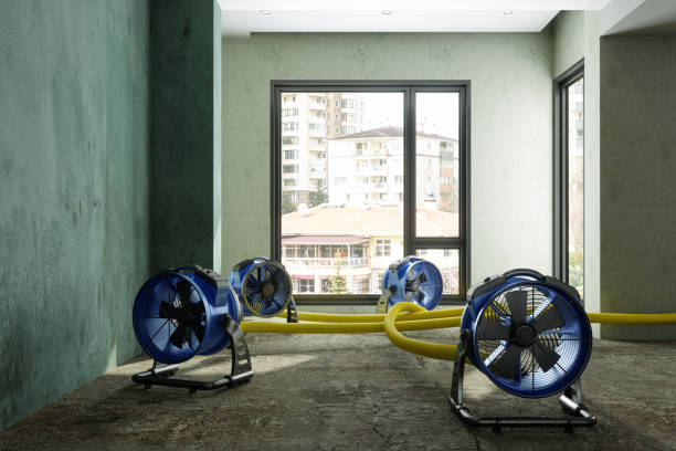 Best Mold removal after water damage  in Bessemer City, NC
